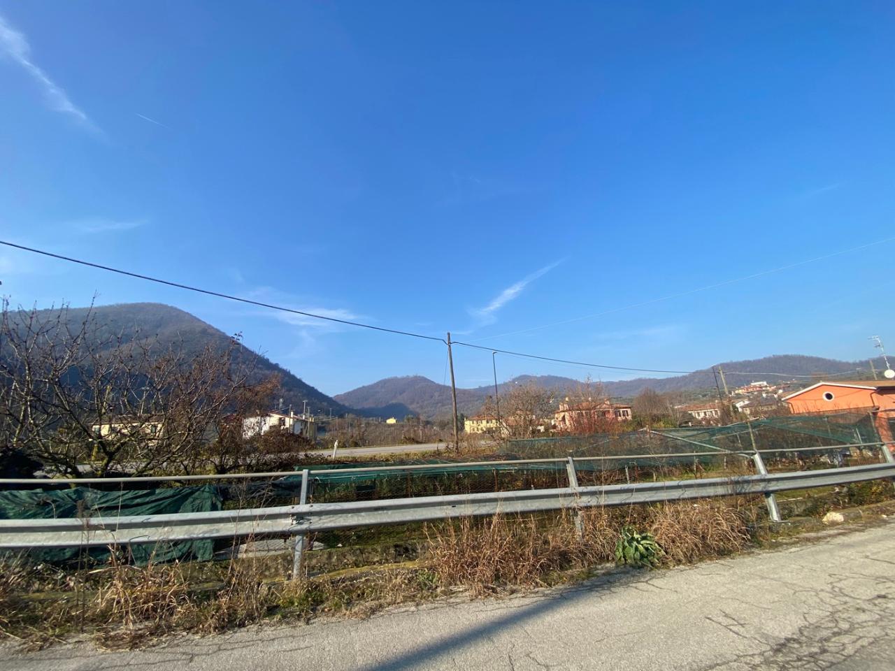 immagine annuncio 4 di 7