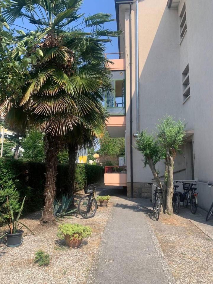 immagine annuncio 5 di 7