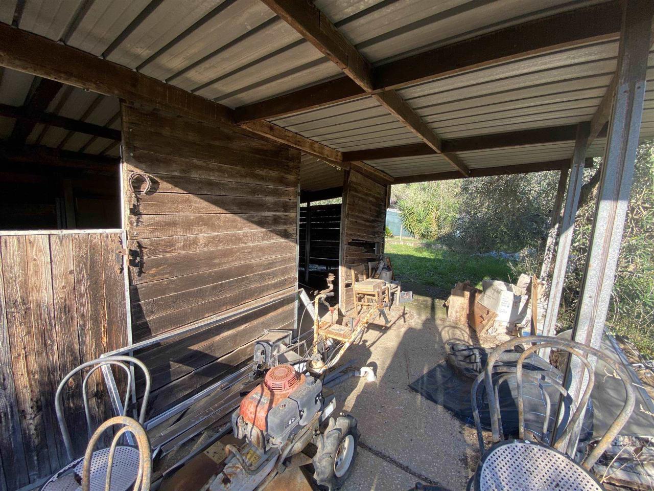 immagine annuncio 9 di 11