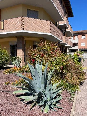 One-room flat in Via Calcina 6, Castel San Pietro Terme - Photo 1