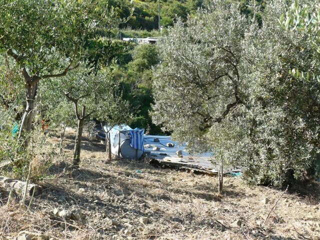 immagine annuncio 12 di 13