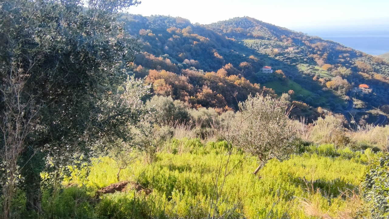 immagine annuncio 11 di 13