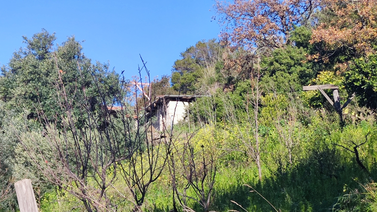 immagine annuncio 10 di 13