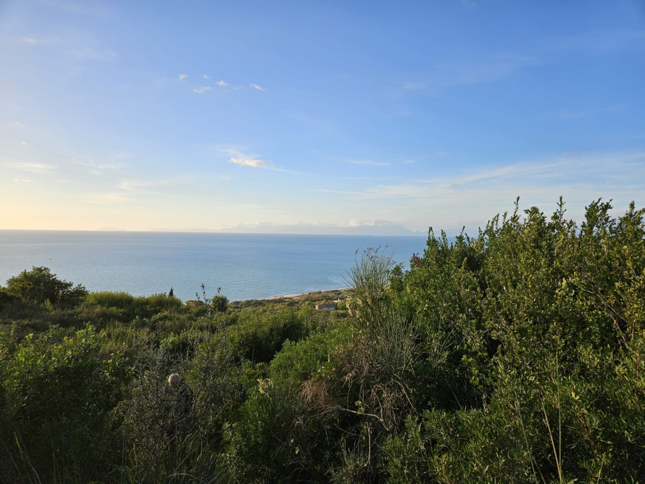 immagine annuncio 9 di 11
