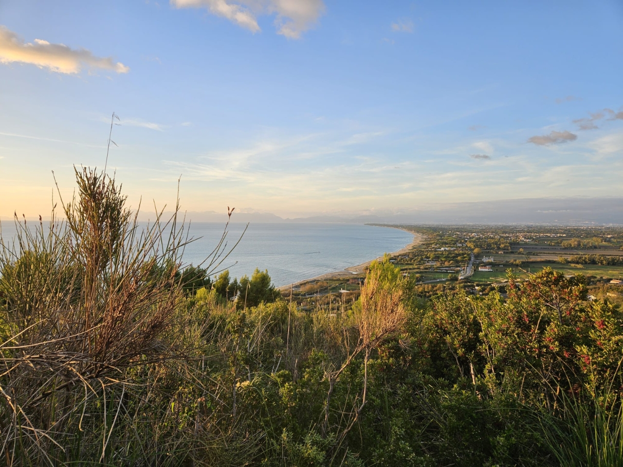 immagine annuncio 8 di 11
