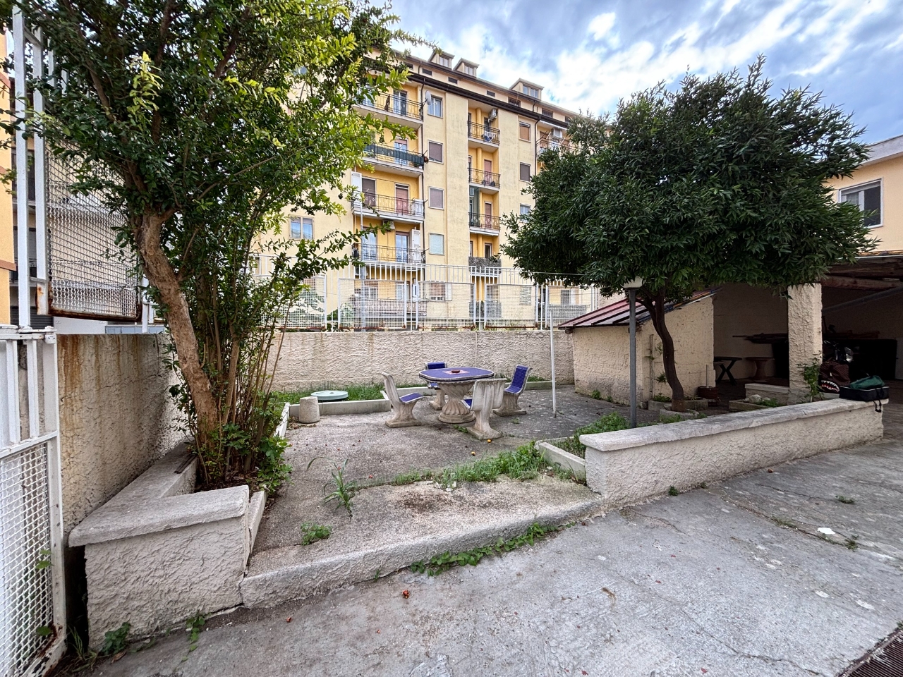 immagine annuncio 11 di 15
