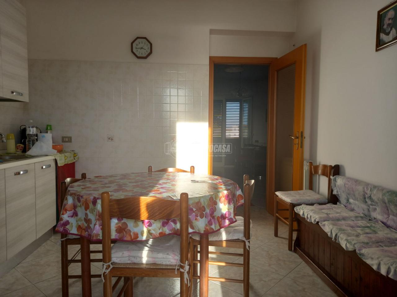 immagine annuncio 2 di 14