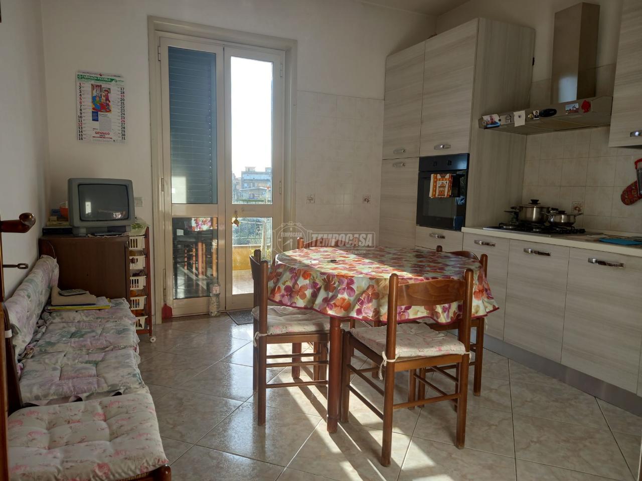 immagine annuncio 1 di 14