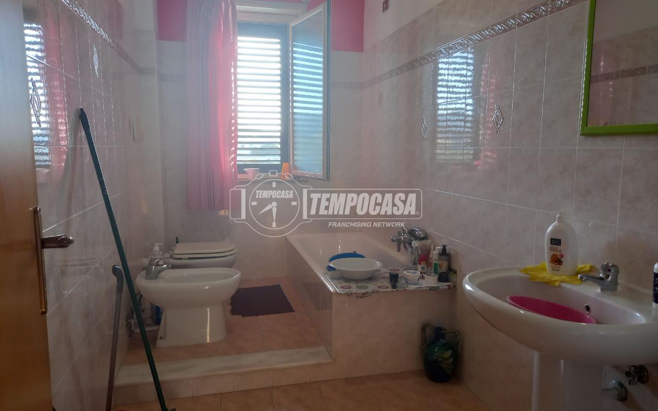 immagine annuncio 7 di 14