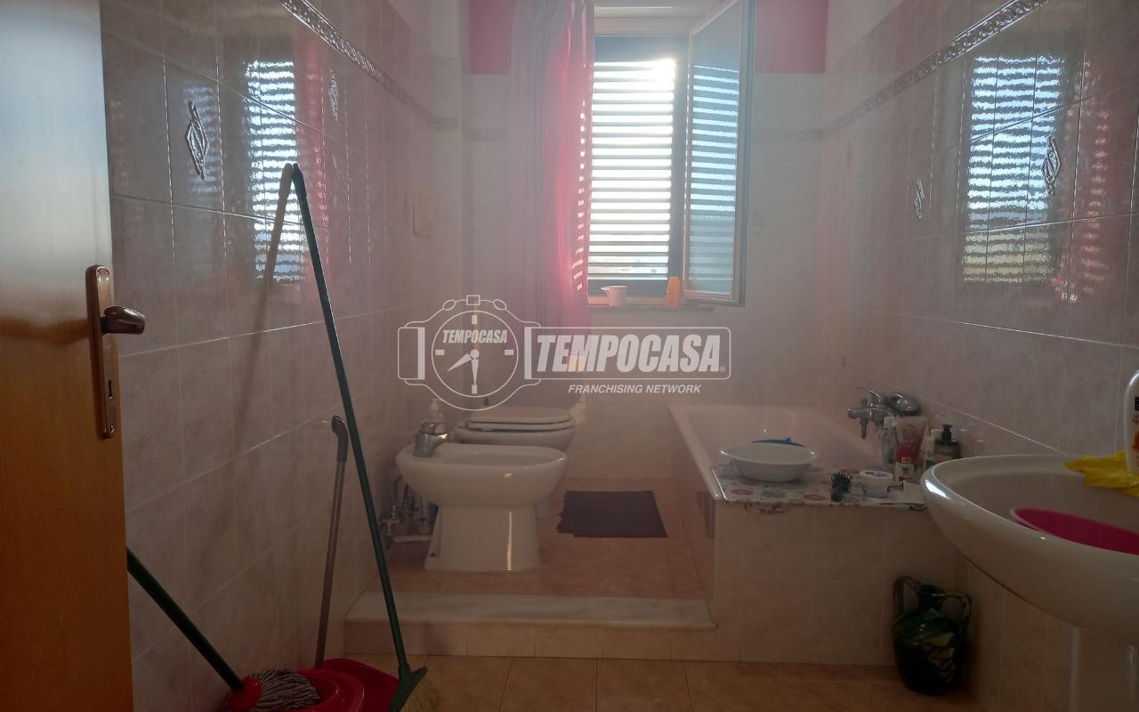 immagine annuncio 10 di 14