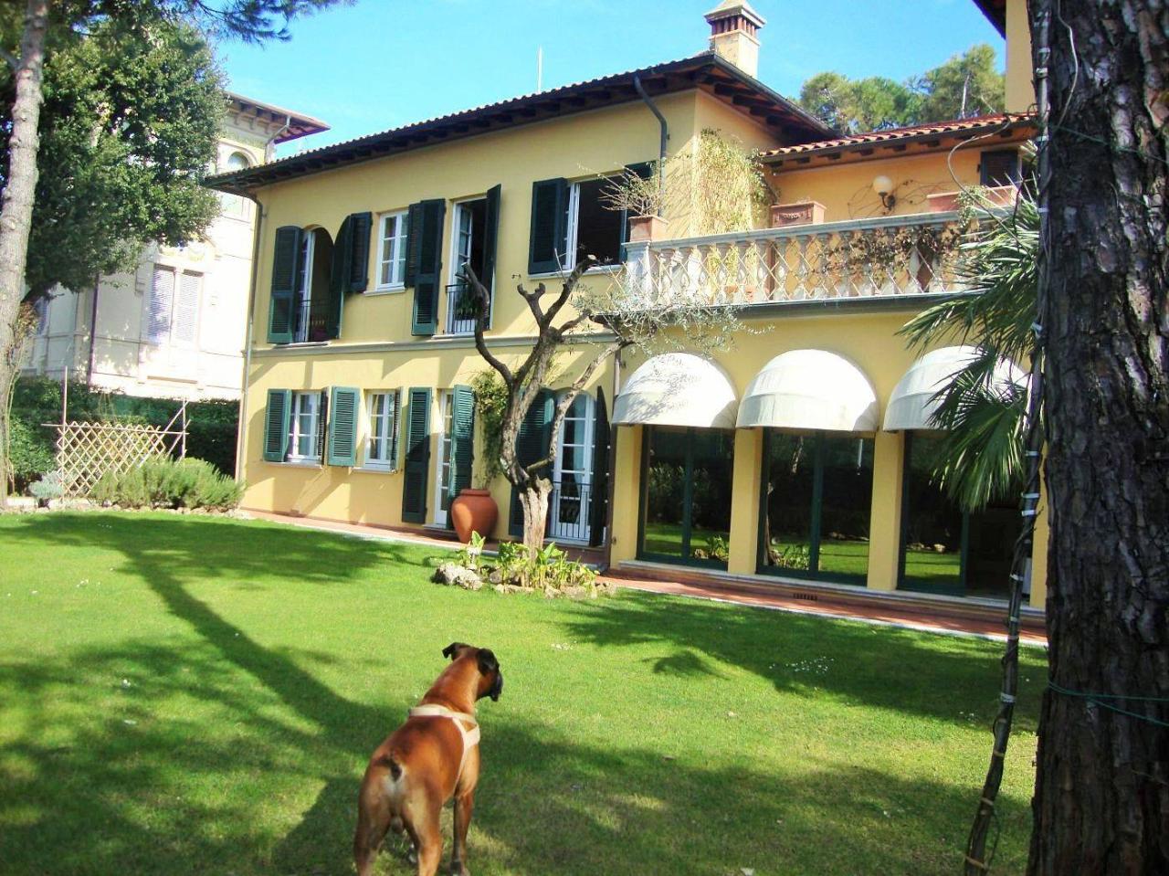 immagine annuncio 3 di 13