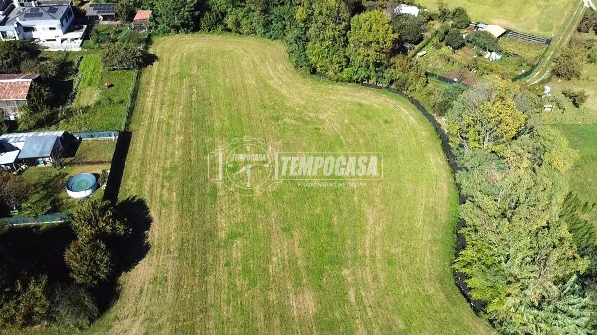 immagine annuncio 3 di 7