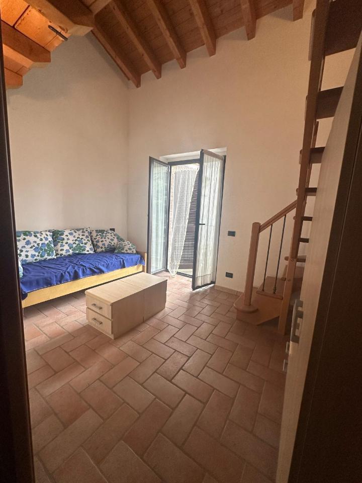 immagine annuncio 2 di 14