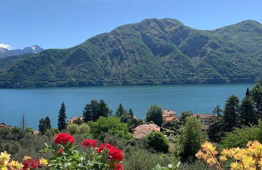 immagine annuncio 5 di 6