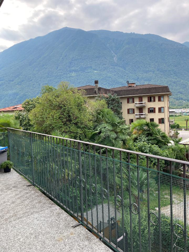 immagine annuncio 8 di 14