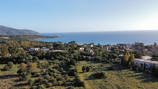 immagine annuncio 11 di 14