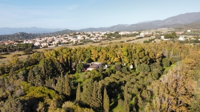 immagine annuncio 8 di 14