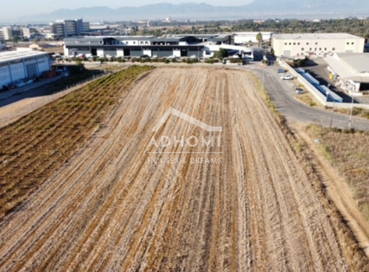 immagine annuncio 9 di 11