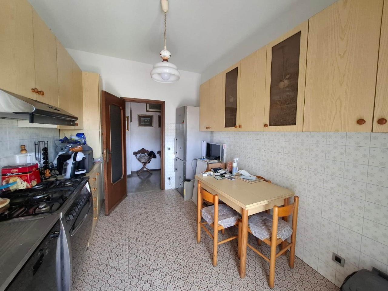 immagine annuncio 7 di 14