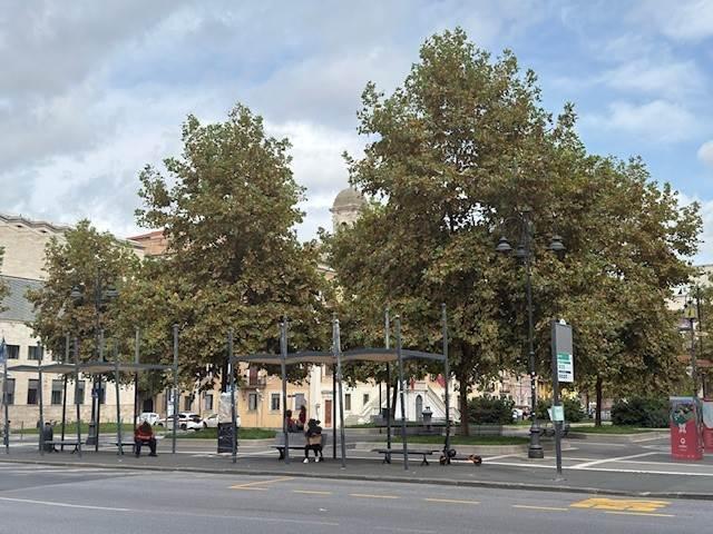 Negozio in , Livorno, {3} - Foto 2
