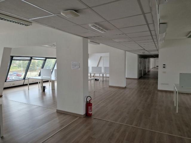 Büro in {3}, Viale Luigi Schiavonetti 270f - Foto 1