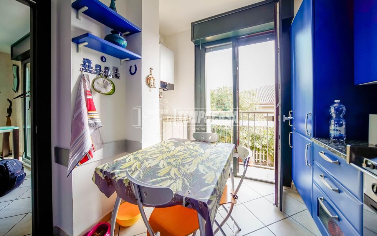 immagine annuncio 5 di 15