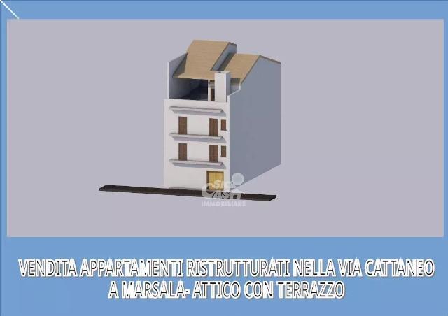 insertion image