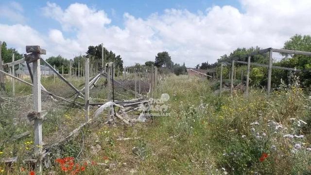 Building land, Marsala - Photo 1