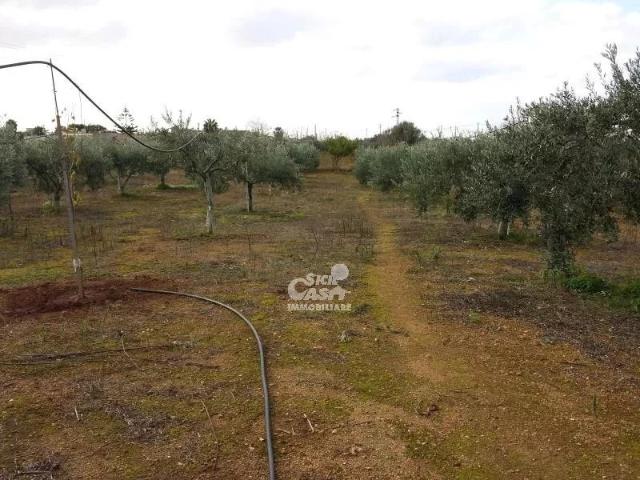 Building land, Marsala - Photo 1