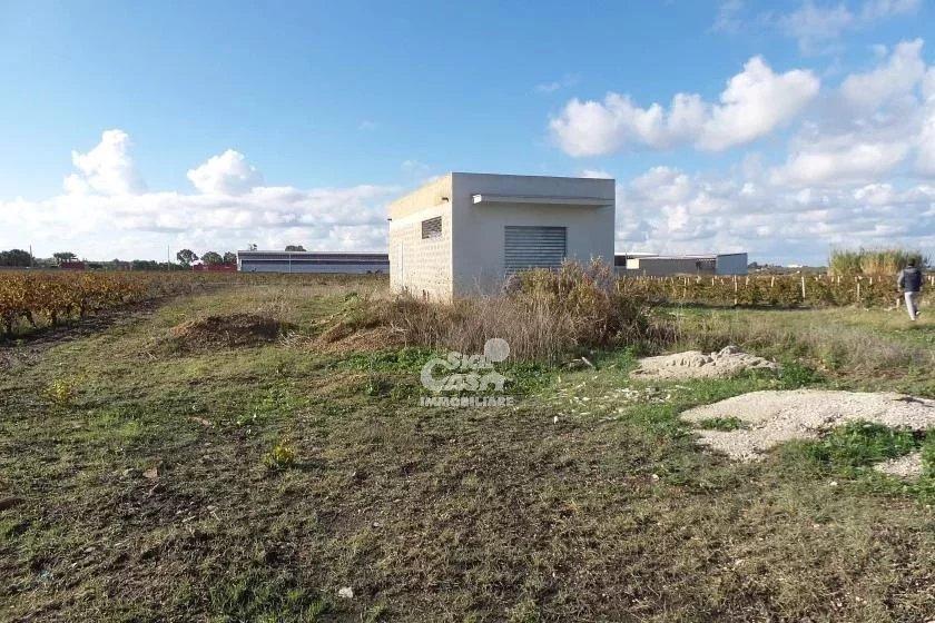 Magazzino in , Marsala, {3} - Foto 2