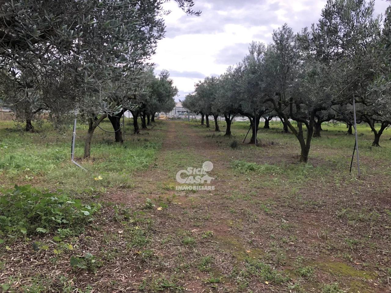 immagine annuncio 8 di 14