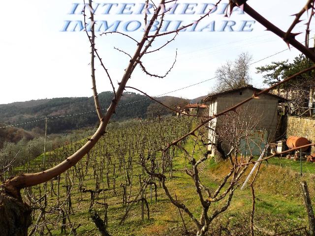 Country house or cottage in Strada Comunale di Sercognano, Loro Ciuffenna - Photo 1