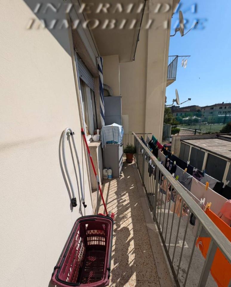 immagine annuncio 9 di 14