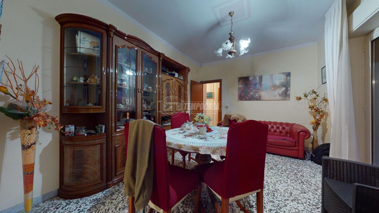 immagine annuncio 5 di 14