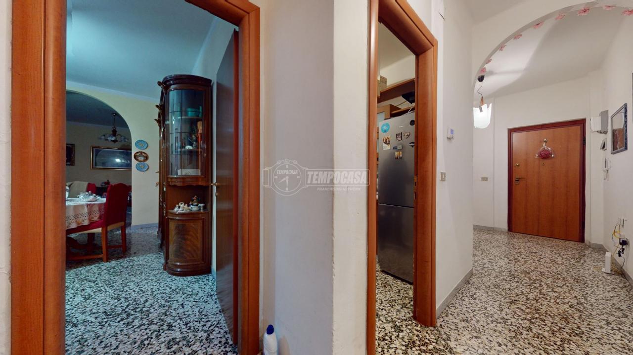 immagine annuncio 1 di 14