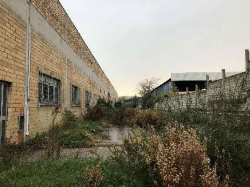 Capannone in Zona Industriale, Frazione Colleranesco Snc, Giulianova, {3} - Foto 2