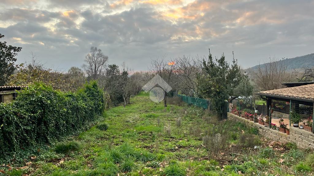 Terreno agricolo in vendita a Trevignano Romano