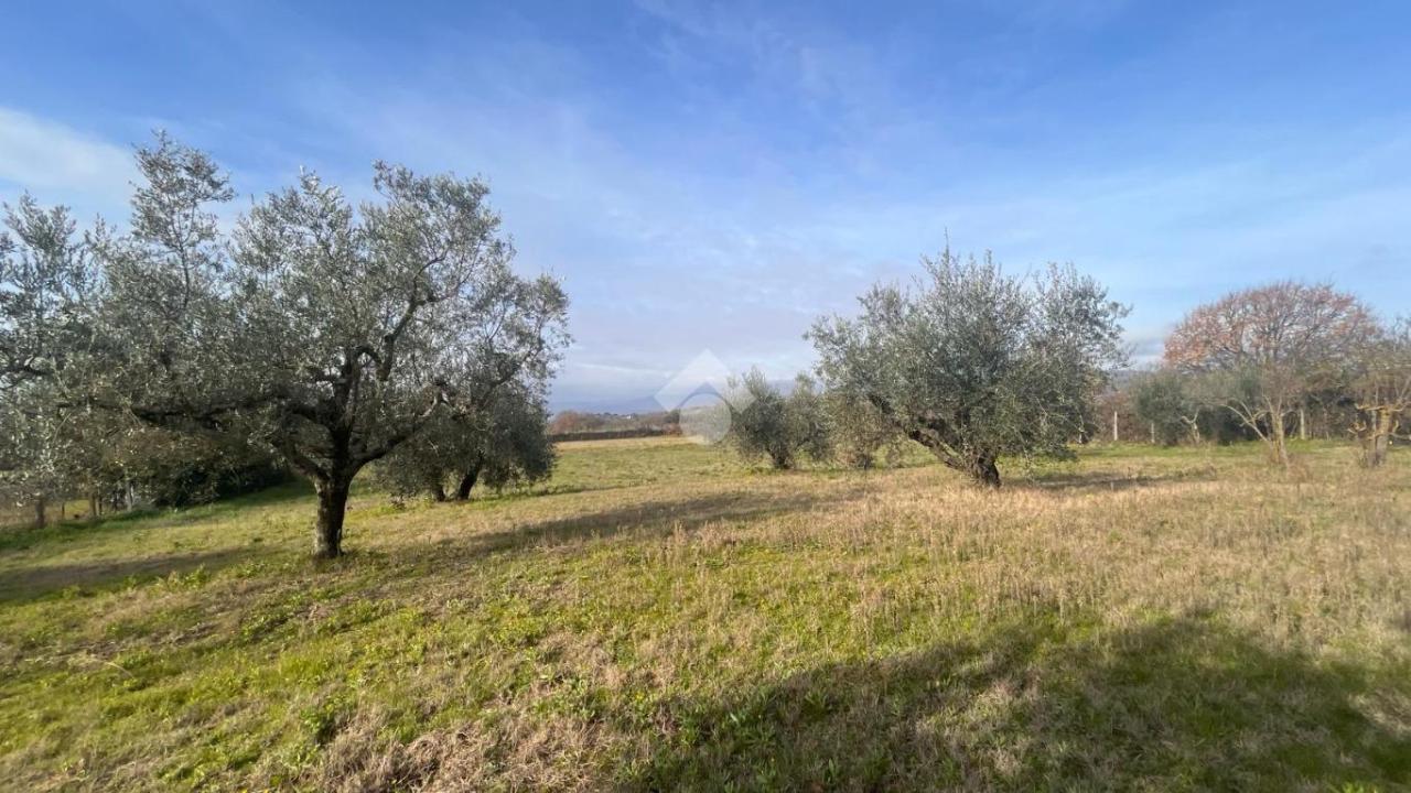 Terreno agricolo in vendita a Trevignano Romano