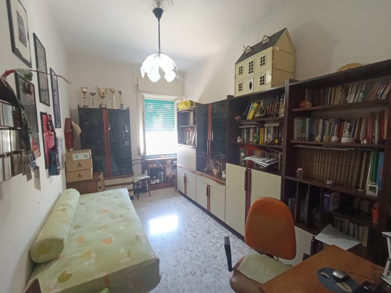 immagine annuncio 11 di 14