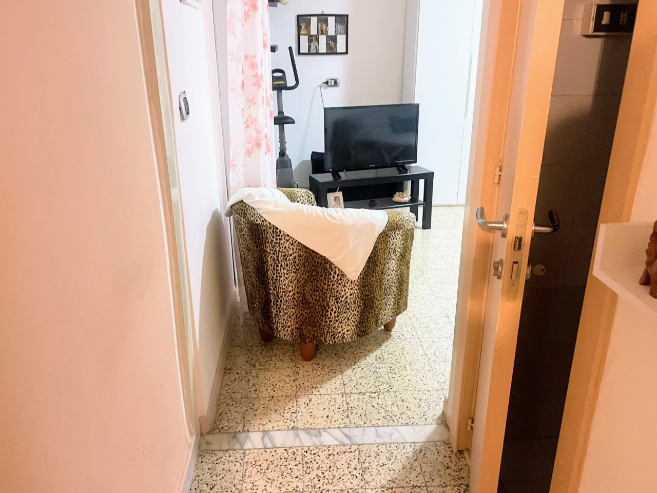 immagine annuncio 3 di 12
