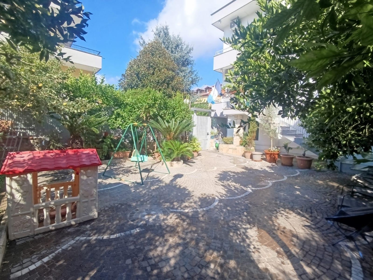 immagine annuncio 3 di 15