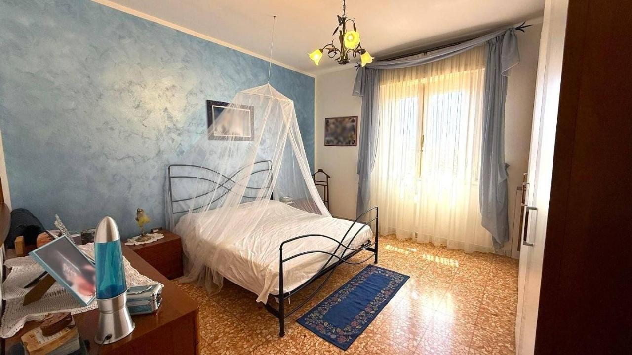 immagine annuncio 5 di 14
