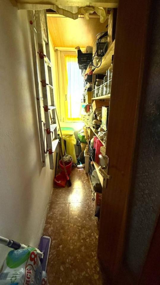 immagine annuncio 12 di 14