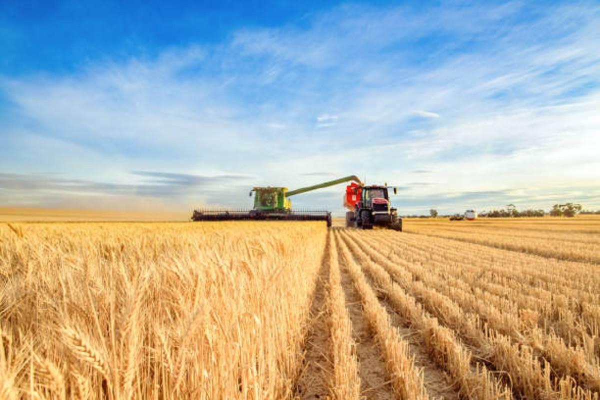 Terreno agricolo in vendita a Cona