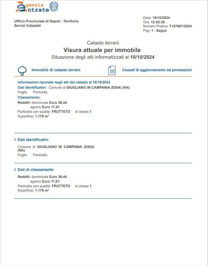 immagine annuncio 10 di 12