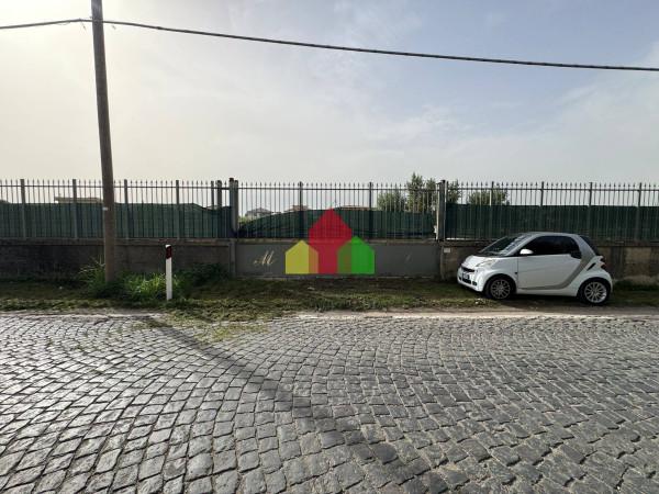 immagine annuncio 4 di 11