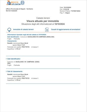 immagine annuncio 9 di 11