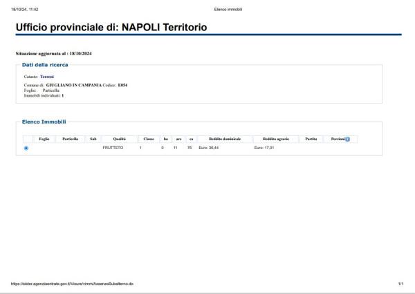 immagine annuncio 10 di 11