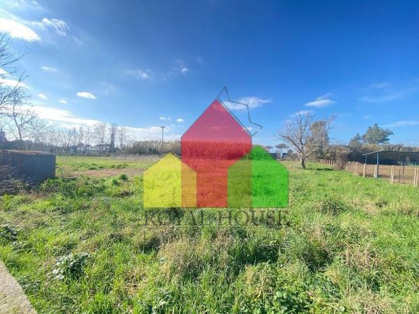 immagine annuncio 4 di 8