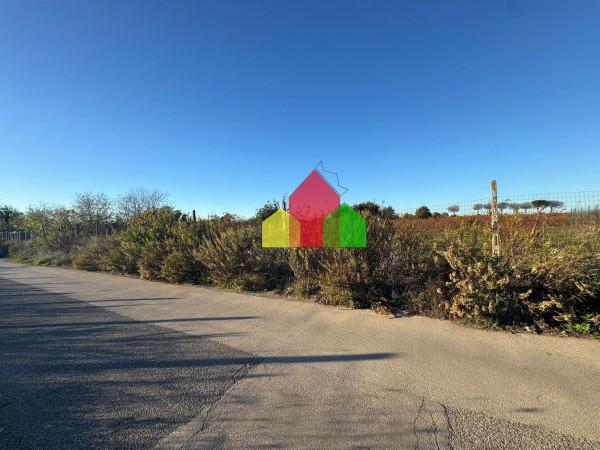 immagine annuncio 8 di 12